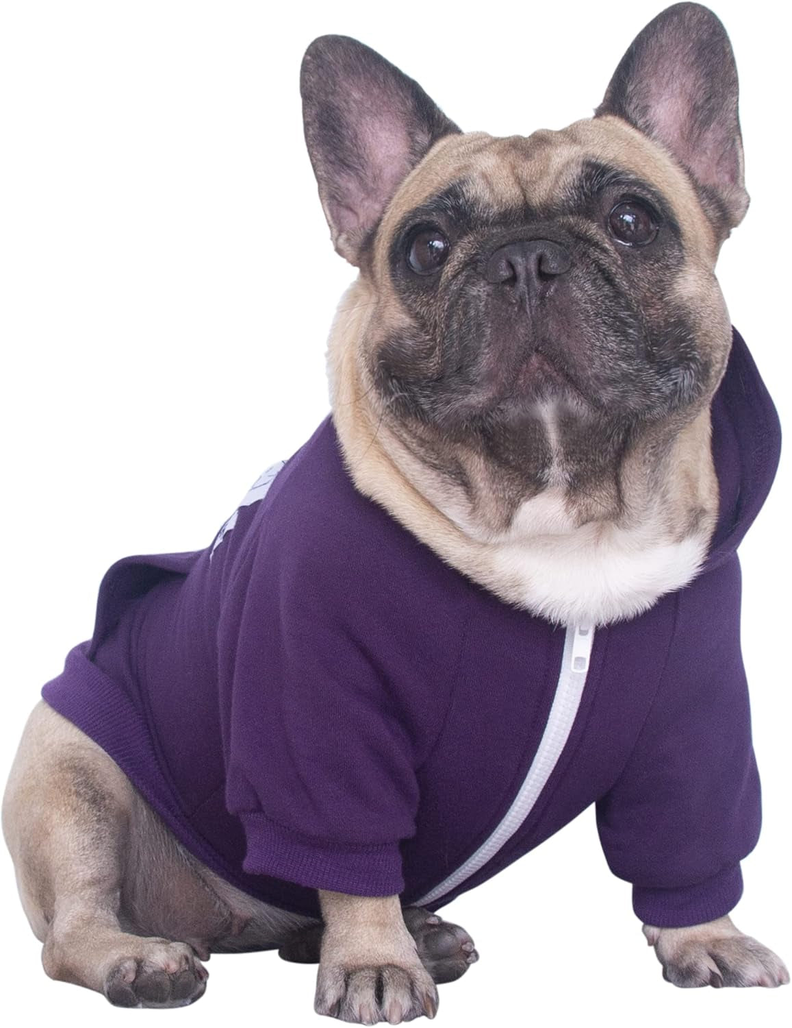 French Bulldog Frenchie Clothes Hoodies for Dogs Pug English Boston Terrier Bully Pitbull Corgi Sweatshirt Sweater Clothing - Dark Purple/Large Plus