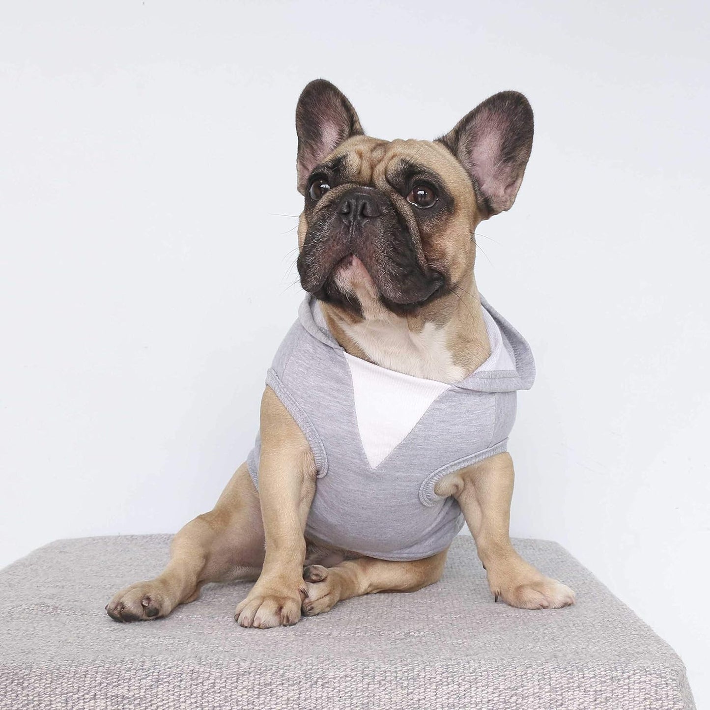 100% Breathable Cotton Dog Hoodies Clothes for French Bulldog Sweatshirts Sweaters Frenchie Pug English Medium Dogs - Grey, Large Plus
