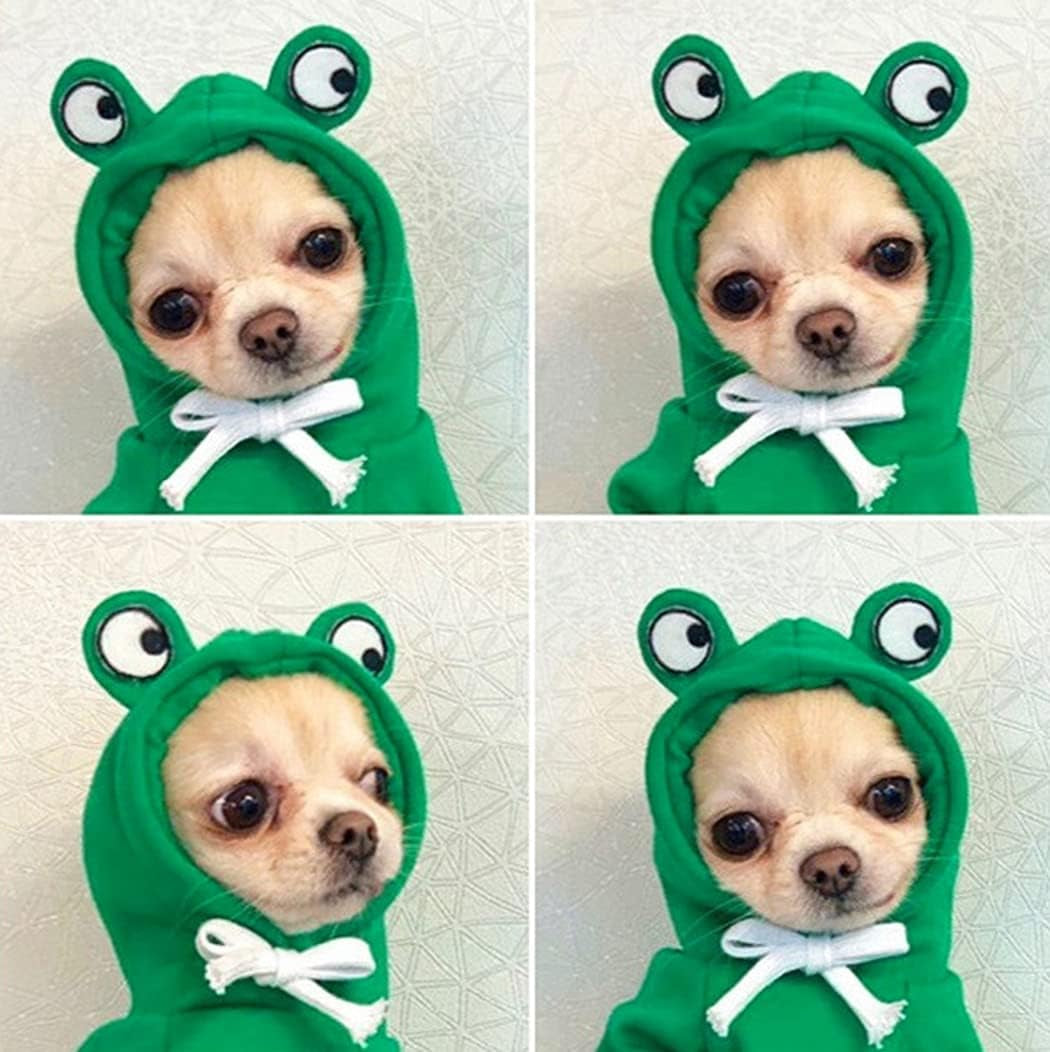 Pet Clothes Dog Hoodies Warm Sweatshirt Coat Puppy Autumn Winter Apparel Jumpsuit with Eye Hood, Frog, S