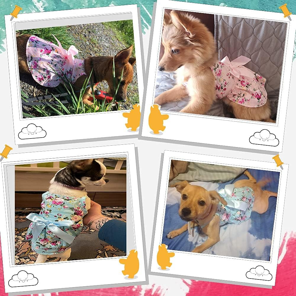 Set of 2 Dog Dresses for Small Dogs Girl Fall Winter Warm Cute Pet Puppy Dress Chihuahua Outfit Vest Apparel Female Doggie Skirt Tutu Pink Yorkie Clothing Cat Sundress Coats (XS)