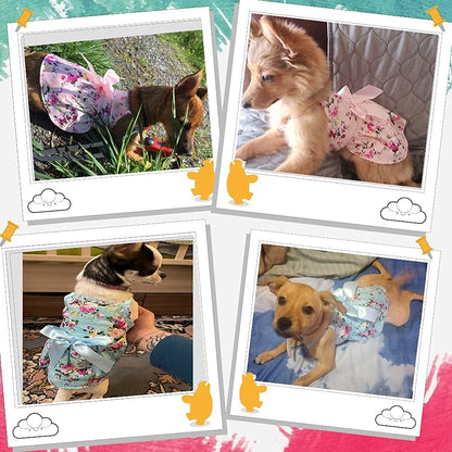 Set of 2 Dog Dresses for Small Dogs Girl Fall Winter Warm Cute Pet Puppy Dress Chihuahua Outfit Vest Apparel Female Doggie Skirt Tutu Pink Yorkie Clothing Cat Sundress Coats (XS)