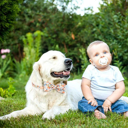 Dog Collar with Bow for Girl Dog, Detachable Bowtie Dog Collar Floral Pattern Girl Dog Collars with Metal Buckle Adjustable Fancy Bow Dog Collar Cute for Puppy Small Medium Large Dogs (Orange M)