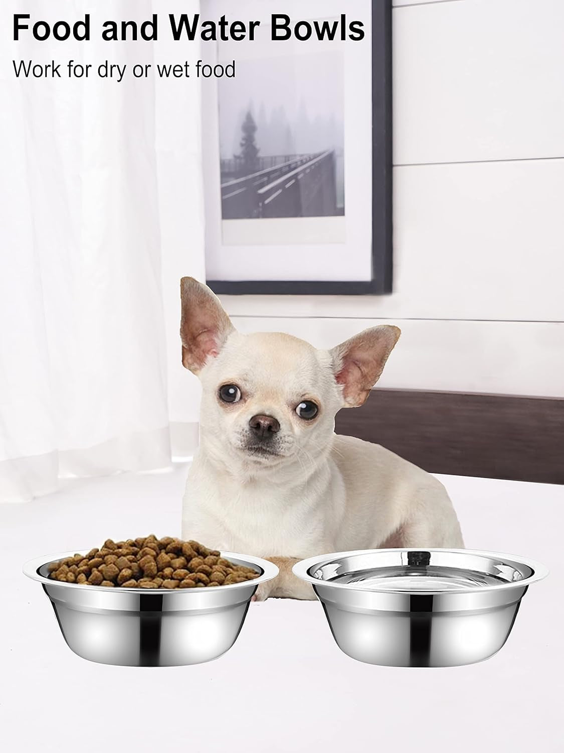 Stainless Steel Small Dog Food Bowls, Set of 2 Outer Dia. 5.4 in Replacement Dog Bowls for Raised Station(1.3 Cup)