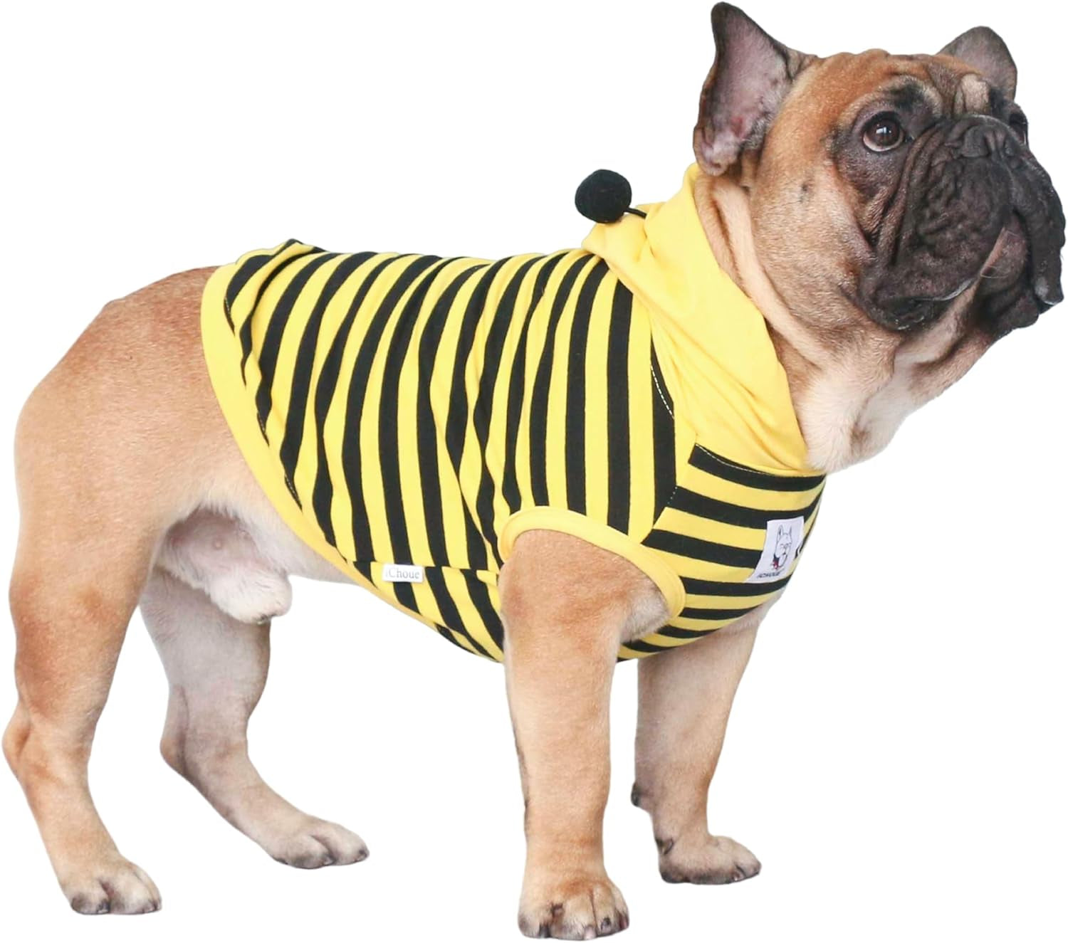 French Bulldog Bee Honeybee Bumblebee Caterpillar Insect Halloween Costumes Hoodies Sleeveless Clothes Outfits Cosplay Shirts for Dogs Frenchie Pug Boston - Black Yellow, Medium