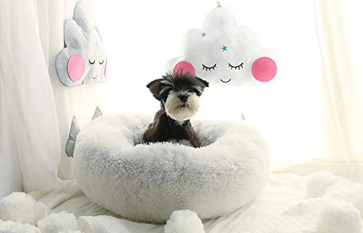 Modern Soft Plush round Pet Bed for Cats or Small Dogs, Mini Medium Sized Dog Cat Bed Self Warming Autumn Winter Indoor Snooze Sleeping Cozy Kitty Teddy Kennel (S(19.7”Dx7.9 H, Dark Grey)