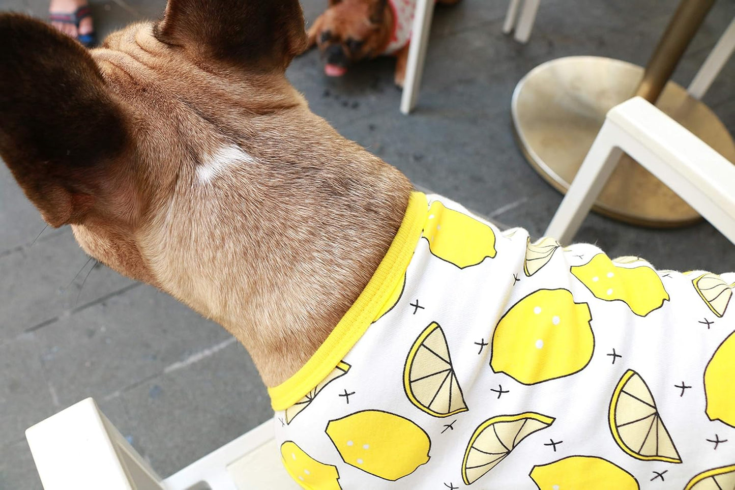 100% Breathable Cotton French Bulldog Halloween Cartoon T Shirts Cute Clothes for Medium Dogs Vest Tank Tops Frenchie English Boston Terrier Pitbull Lemon - Large Plus