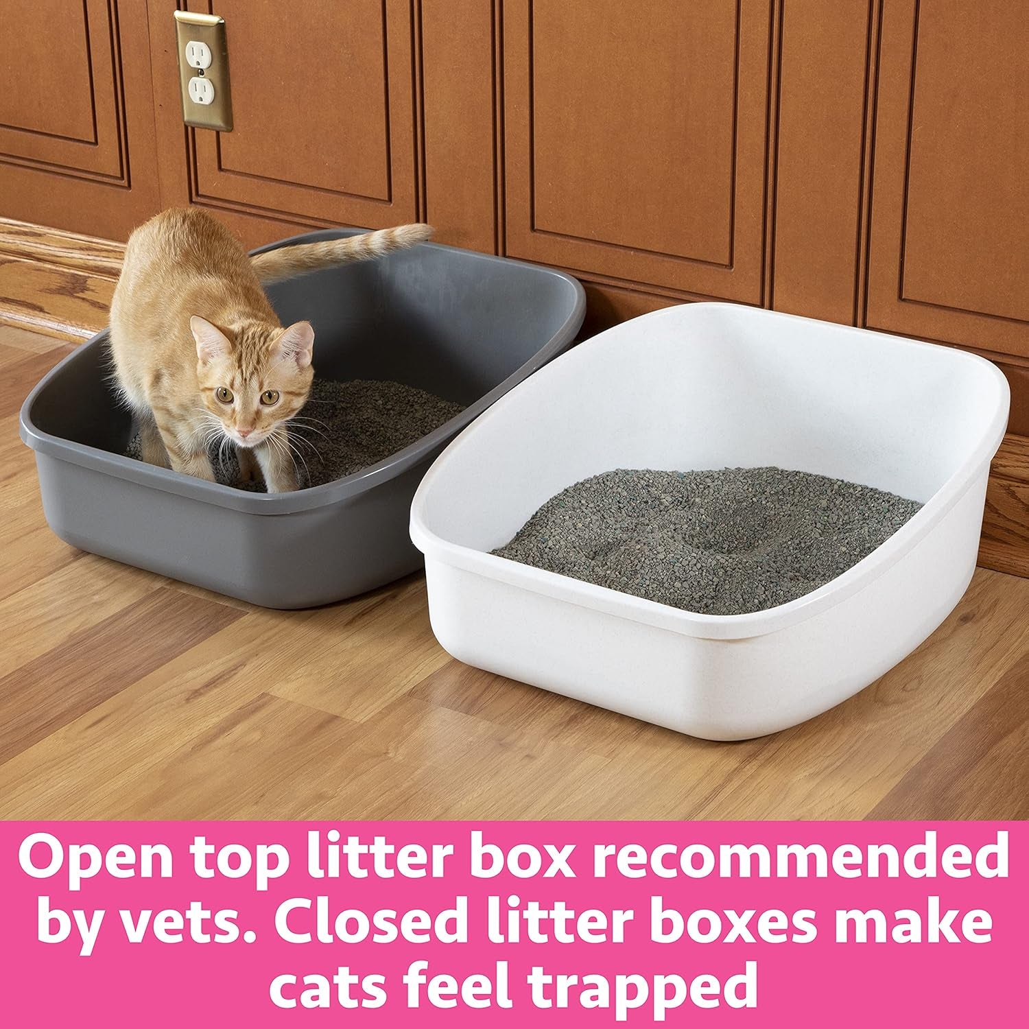 Large Cat Litter Box Set – 2 Open Litter Pans with High Back, Easy to Clean & Durable Plastic – XL Litter Box for Odor Control & Multi-Cat Households