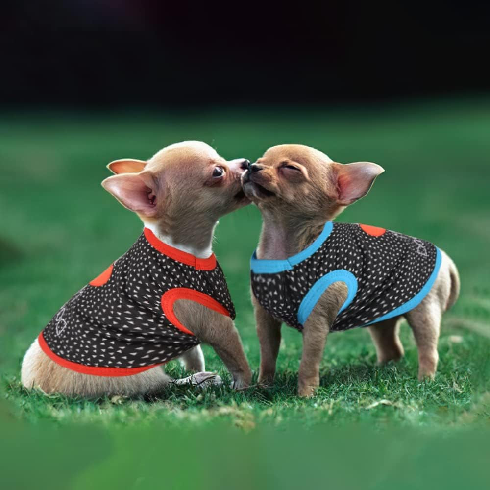 Extra Small Dog Clothes, Dog Clothes for Small Dogs Boy Girl Dog Tshirt for Small Dogs Boy Chihuahua Teacup Yorkie Clothes Puppy Outfits Tiny Dog Shirts (X-Small)